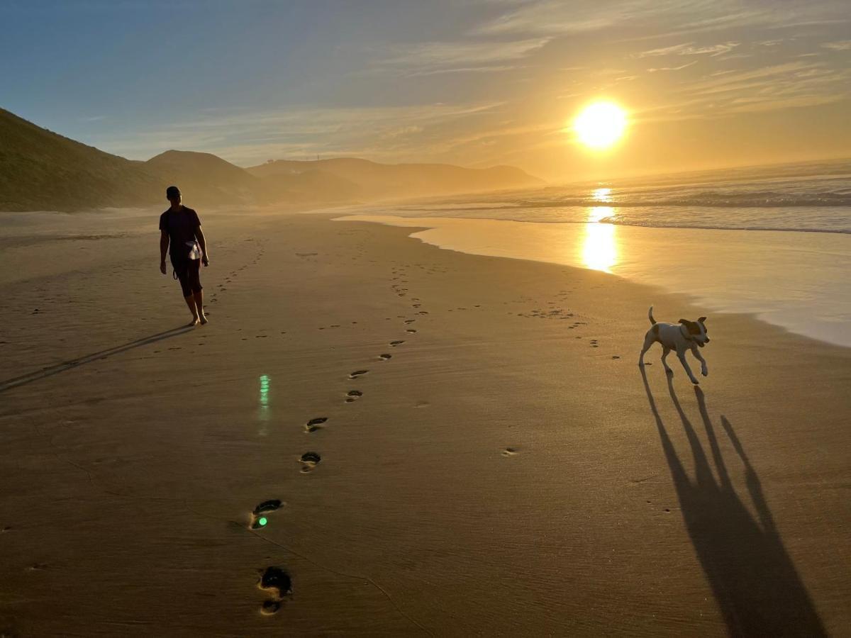 Paradise Found Knysna Extérieur photo