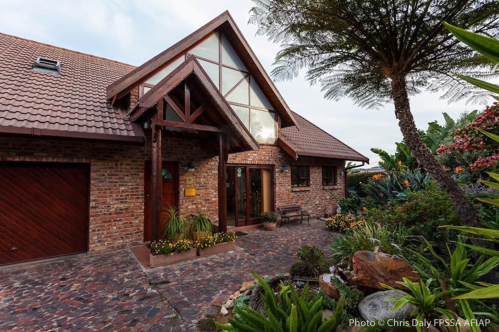 Paradise Found Knysna Extérieur photo