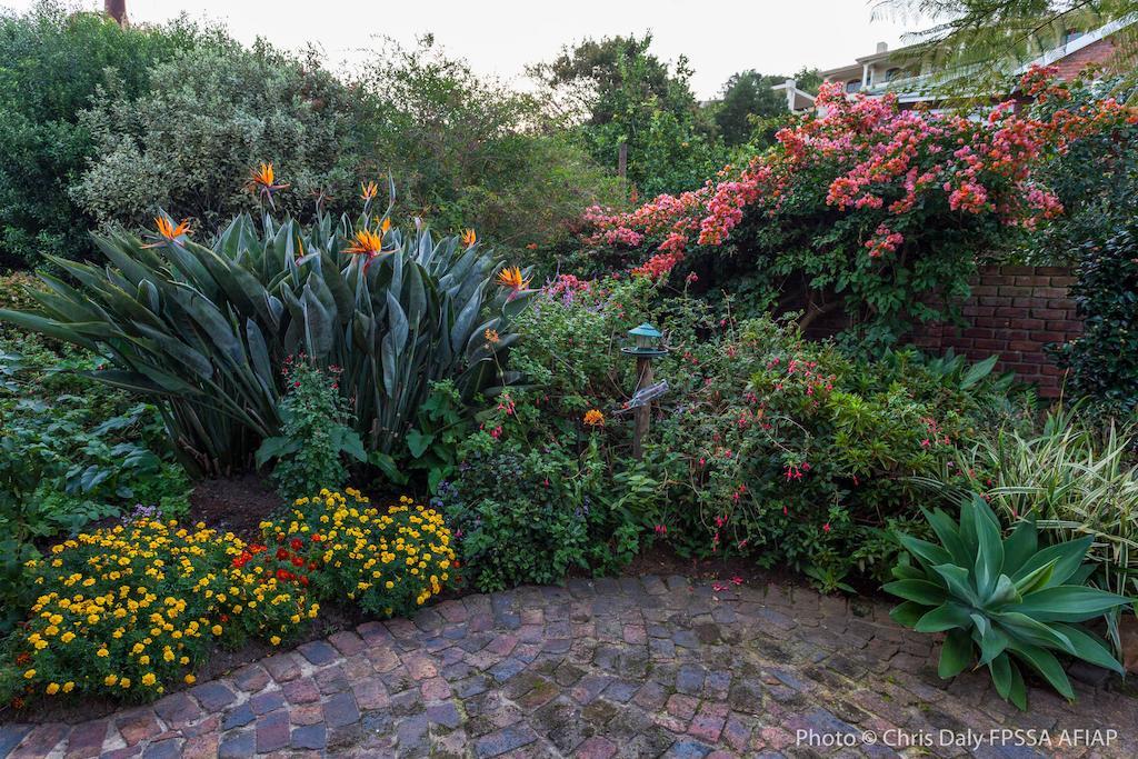 Paradise Found Knysna Extérieur photo