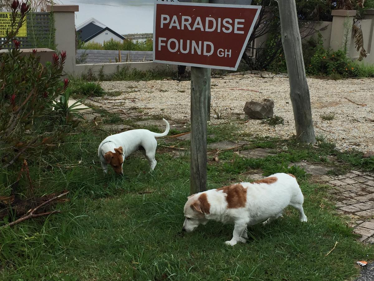 Paradise Found Knysna Extérieur photo